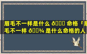 眉毛不一样是什么 🐅 命格「眉毛不一样 🌾 是什么命格的人」